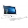 HP 20 All-in-One PC 20-C010NF